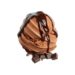 CHOCOLATE BRED BAKERY